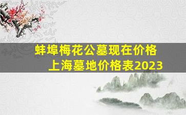 蚌埠梅花公墓现在价格 上海墓地价格表2023